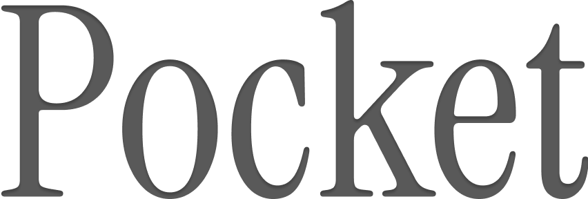 Pocket AI