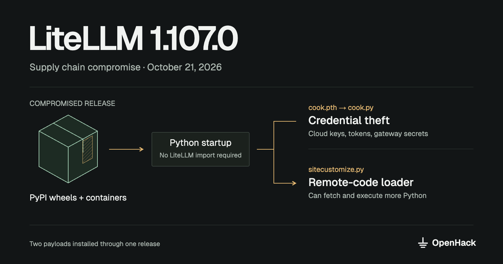 LiteLLM 1.107.0 compromised packages trigger Python startup hooks for credential theft and remote-code loading.